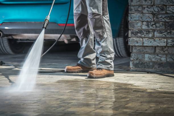 Best Winterizing Services  in Carle Place, NY