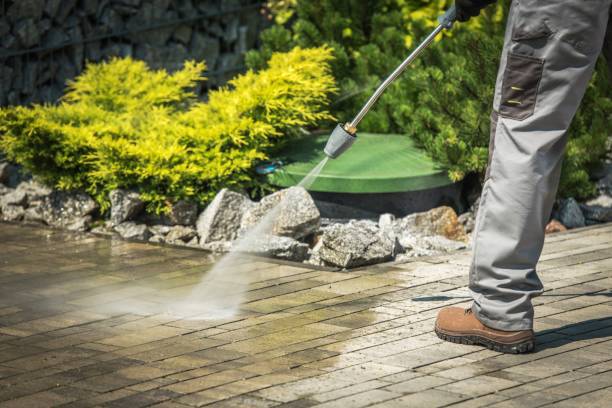 Best Roof Washing  in Carle Place, NY