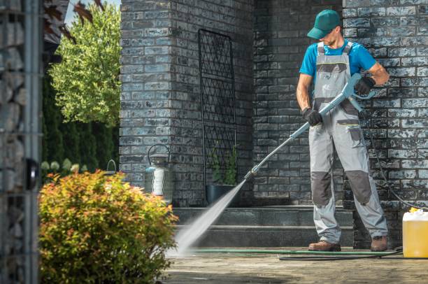 Best Dumpster Area Cleaning  in Carle Place, NY